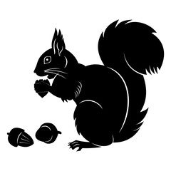 squirrel with nut vector
