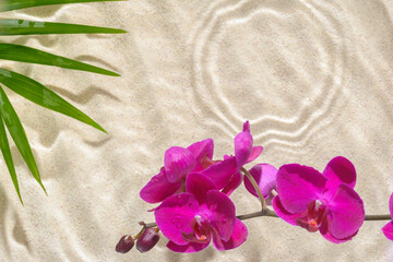 orchid and palm leaf with hard shadow over sand background, sun lights on ripple  water surface, beautiful abstract spa concept banner for cosmetic body care product