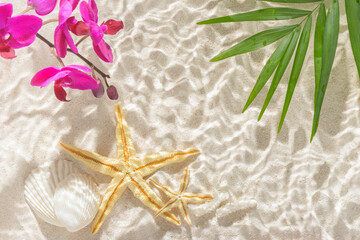 sun lights with hard shadow in ripple water on abstract sand background with orchid, palm leaf shell, starfish, beautiful abstract spa concept banner