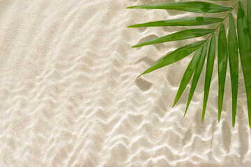 palm leaf with hard shadow over sand background, sun lights on ripple  water surface, beautiful abstract spa concept banner for cosmetic body care product