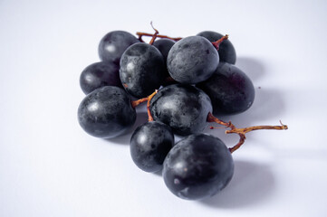 fresh black grapes for wine on a white background