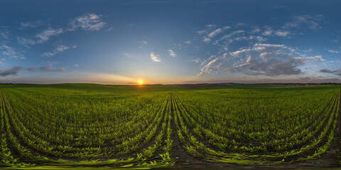 spherical 360 hdri panorama among farming field with clouds and sun on evening blue sky before...