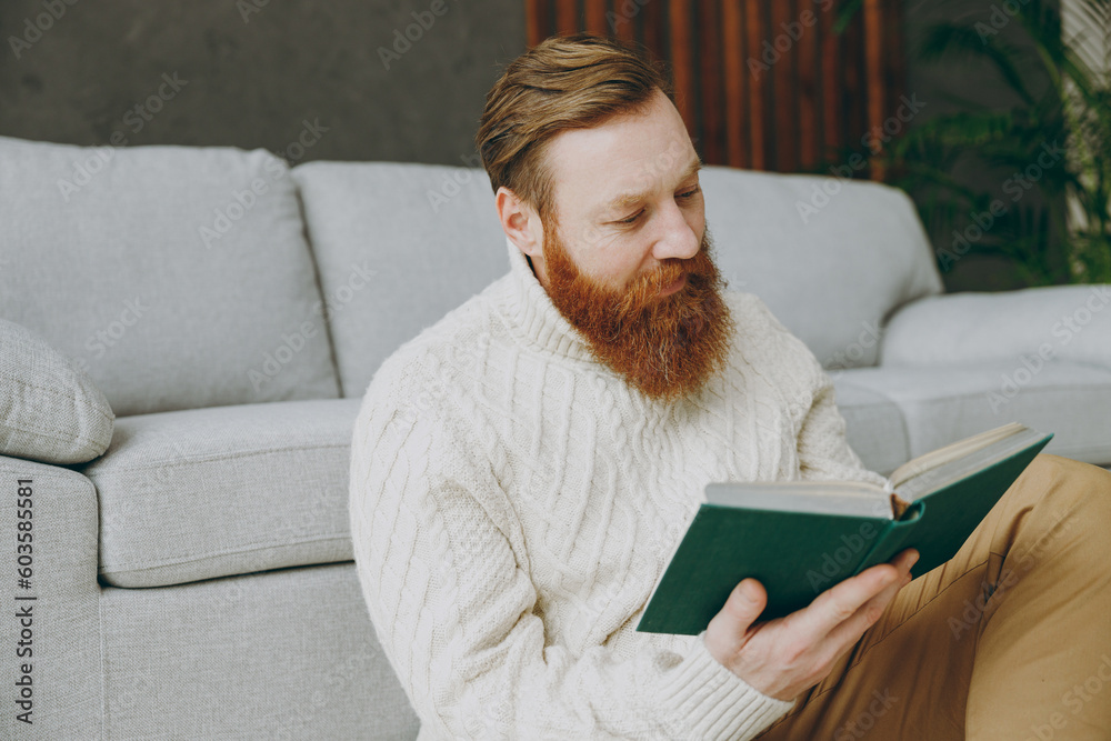 Wall mural Young smart european calm ginger man wears casual clothes reading book novel sits near grey sofa couch stay at home hotel flat rest relax spend free spare time in living room indoor. Lounge concept.