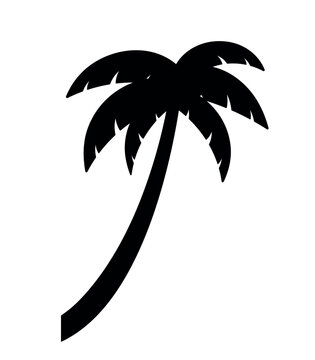 Palm and Coconut Tree Silhouette for Summer Element