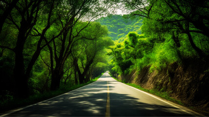 Fototapeta premium A secluded one-lane country road in green nature