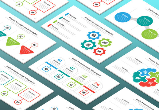 Project Management Infographic Template