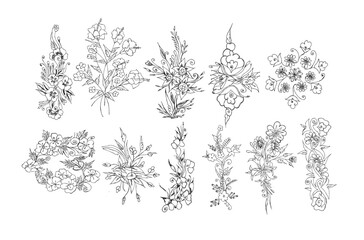 Vector watercolor floral collection 