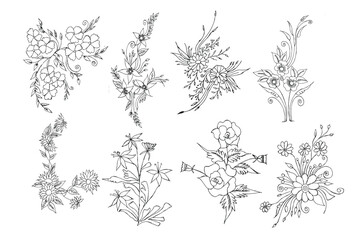 Vector watercolor floral collection 