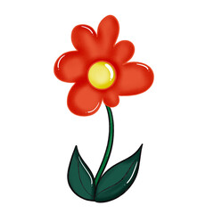 flower isolated on white