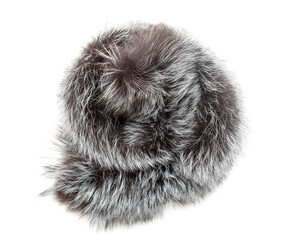 black and gray fur on a white background