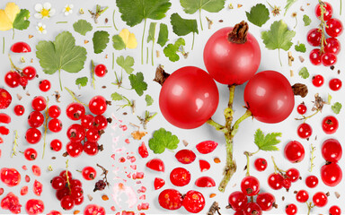 Red Currant Slice and Leaf Collection