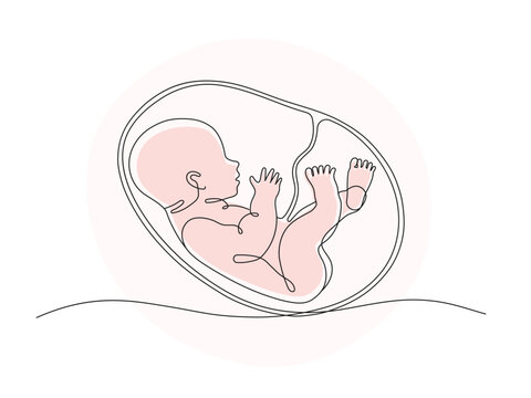 recommend clip art: Baby embryo in womb one line drawing. Cute unborn fetus baby on mother womb isolated on white background.