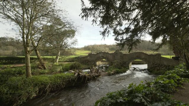 Peaceful stream and bridge in Devon countryside under tree