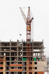 Fototapeta na wymiar Construction of a multi-storey building with a tower crane