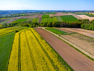 Aerial view landscape. View of rapeseed fields in the countryside, blue sky, agritourism Poland.