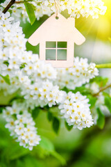The symbol of the house among the branches of the Bird cherry