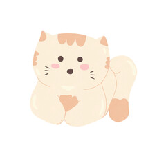 Cat so cute png
