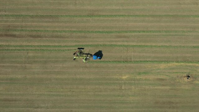 Above top view dolly move parallel, follow tractor as tow trailed agricultural machinery, wheel finger, twin side rotary, mechanical rake, collecting dry Lucerne into bigger and thicker rows.