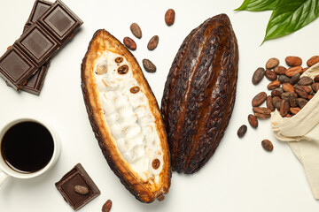 Concept of fresh and aromatic food - cacao beans