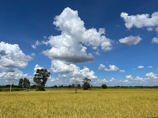 Field and sky