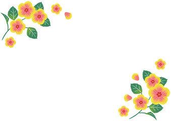 夏らしいハイビスカスの手描きベクターイラスト