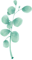 Obraz premium plant, leaf and flowers illustration 