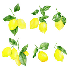 Handpainted watercolor illustrations with lemons