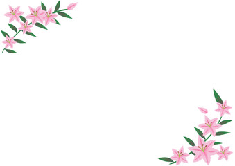 ユリの花の手描きベクターイラスト