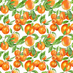 Handpainted watercolor seamless pattern with orange fruits
