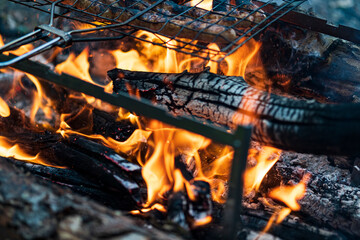 Campfire for cooking in the forest. Burning fire. The fire burns in the forest. Burning fire texture. Burning dry branches. Tourist fire in the forest. Texture of burning branches.