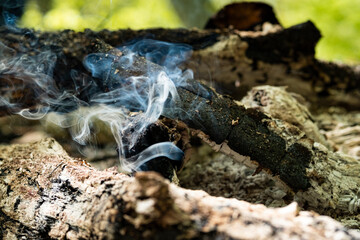 Campfire for cooking in the forest. Burning fire. The fire burns in the forest. Burning fire texture. Burning dry branches. Tourist fire in the forest. Texture of burning branches.