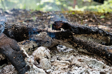Campfire for cooking in the forest. Burning fire. The fire burns in the forest. Burning fire texture. Burning dry branches. Tourist fire in the forest. Texture of burning branches.