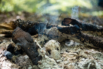 Campfire for cooking in the forest. Burning fire. The fire burns in the forest. Burning fire texture. Burning dry branches. Tourist fire in the forest. Texture of burning branches.