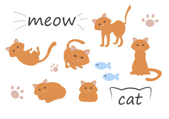 cute cat in different poses. Vector cartoon flat illustration. A red cat on a white background.