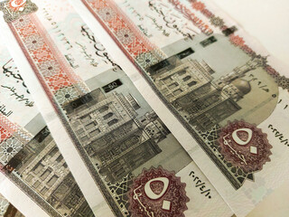 50 Egyptian pound - background of Egyptian banknotes - Egyptian currency - Egyptian pounds
