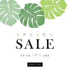Obraz premium Spring sale banner, paster and flyer for spring season sale.