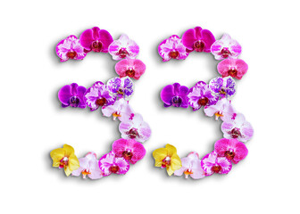 The shape of the number 33 is made of various kinds of orchid flowers. suitable for birthday, anniversary and memorial day templates