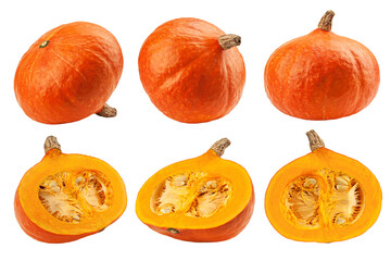 Pumpkin isolated on white background, full depth of field