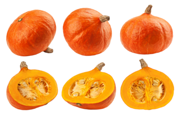 Pumpkin isolated on white background, full depth of field