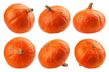 Pumpkin isolated on white background, full depth of field