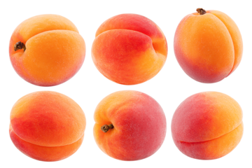apricot isolated on white background, full depth of field