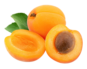 apricot isolated on white background, full depth of field