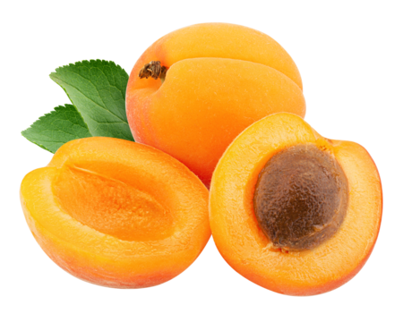 apricot isolated on white background, full depth of field