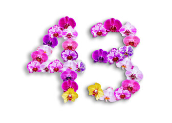 The shape of the number 43 is made of various kinds of orchid flowers. suitable for birthday, anniversary and memorial day templates