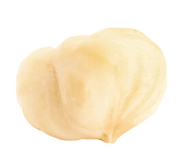 hazelnut isolated on white background, full depth of field