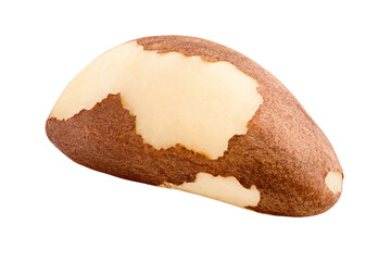 brazil nut, isolated on white background, full depth of field