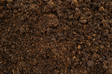 Horse Manure Compost for cultivation, agriculture. Natural Eco Bio Fertilizer. Closeup texture brown wallpaper. Composted steer manure background. Organic fertiliser. Animal Dung. Droppings plant food