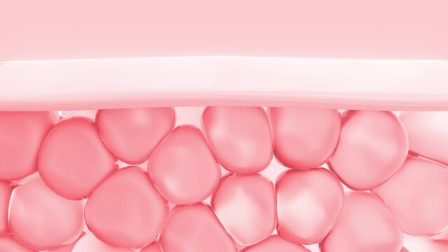 Serum, Hyaluronic acid skin solutions advertising, collagen serum drop with cosmetic advertising background. 3d rendering.