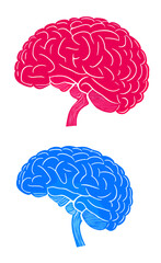 Blue red brain vector image