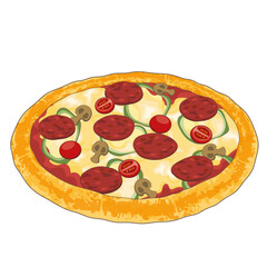 dellicious pizza illustration vector  italian food with beef, cheese, tomato, pepper, etc